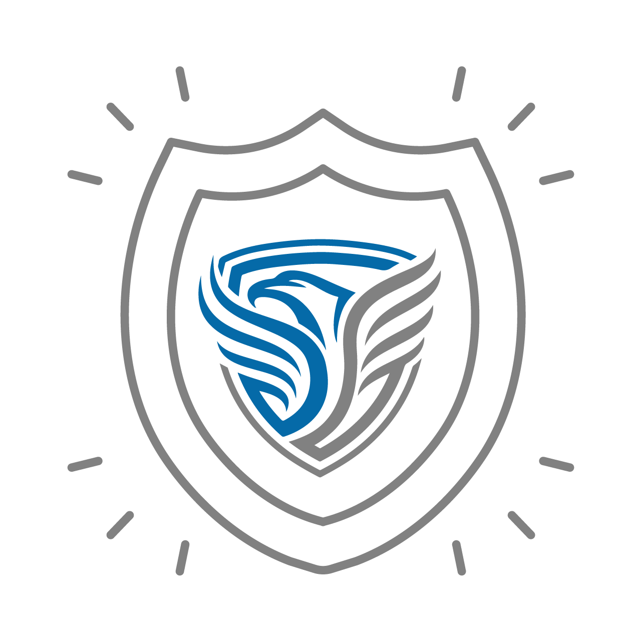 Shield with safety zone security icon placed in middle.
