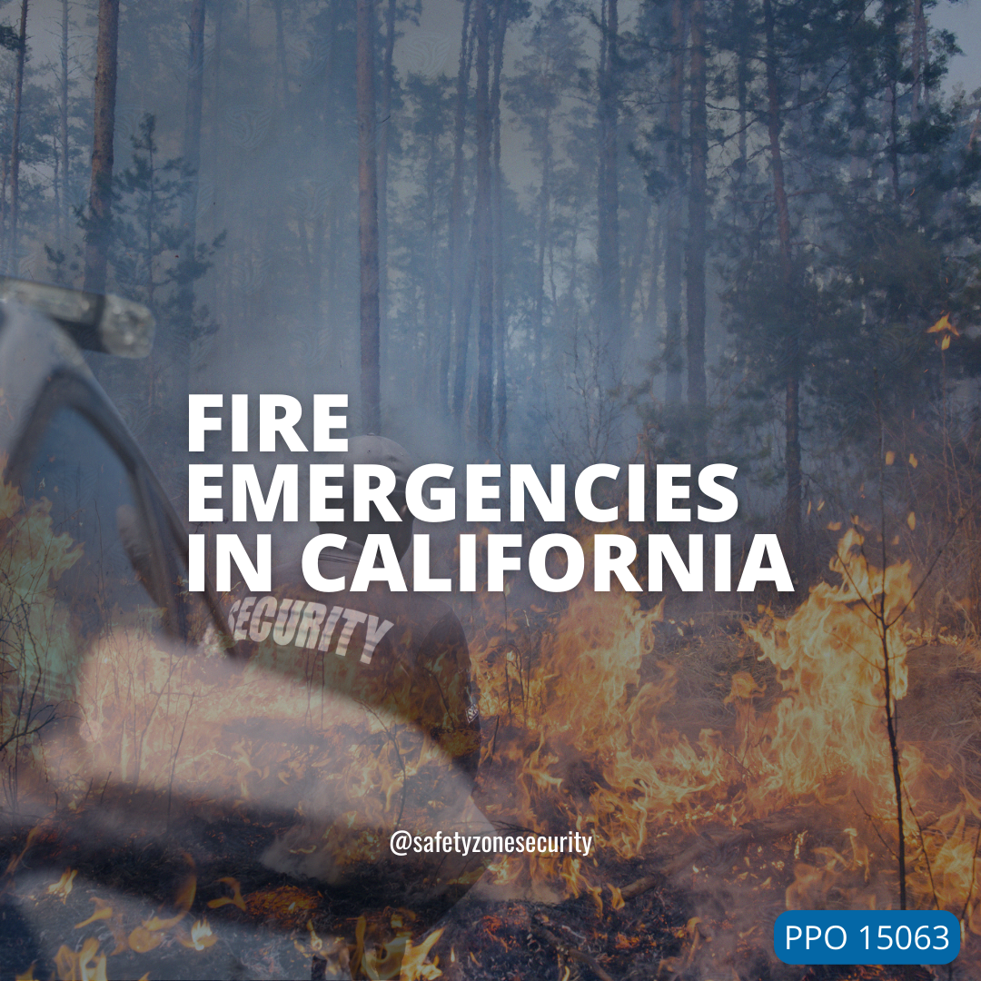 fire background in forest and security guard on patrol vehicle watching 